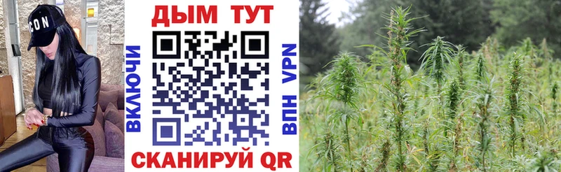 наркотики  Микунь  darknet Telegram  МАРИХУАНА OG Kush 